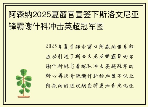 阿森纳2025夏窗官宣签下斯洛文尼亚锋霸谢什科冲击英超冠军图